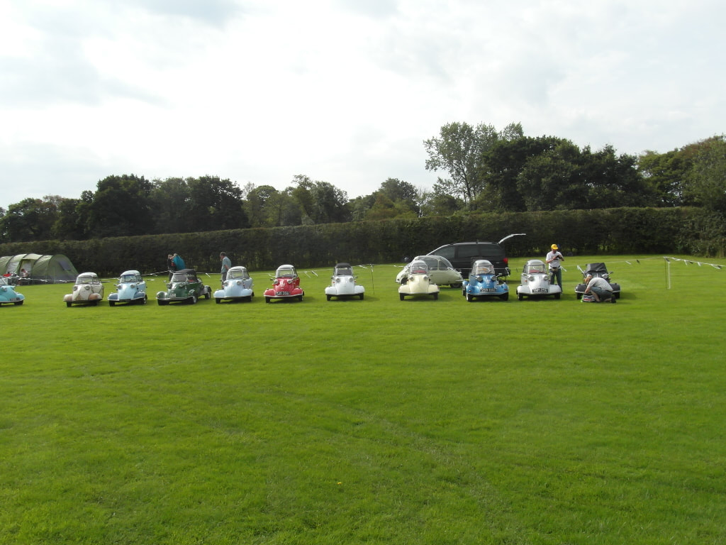 A line of small vintage microcars parked on a lawn at a gathering, with a tall hedge and trees behind